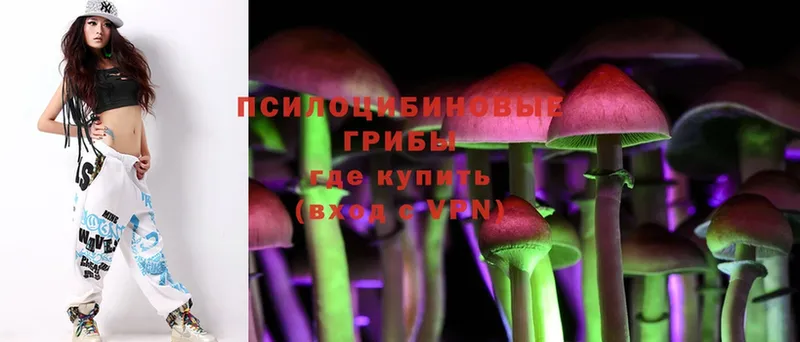 Псилоцибиновые грибы Psilocybe  Фролово 